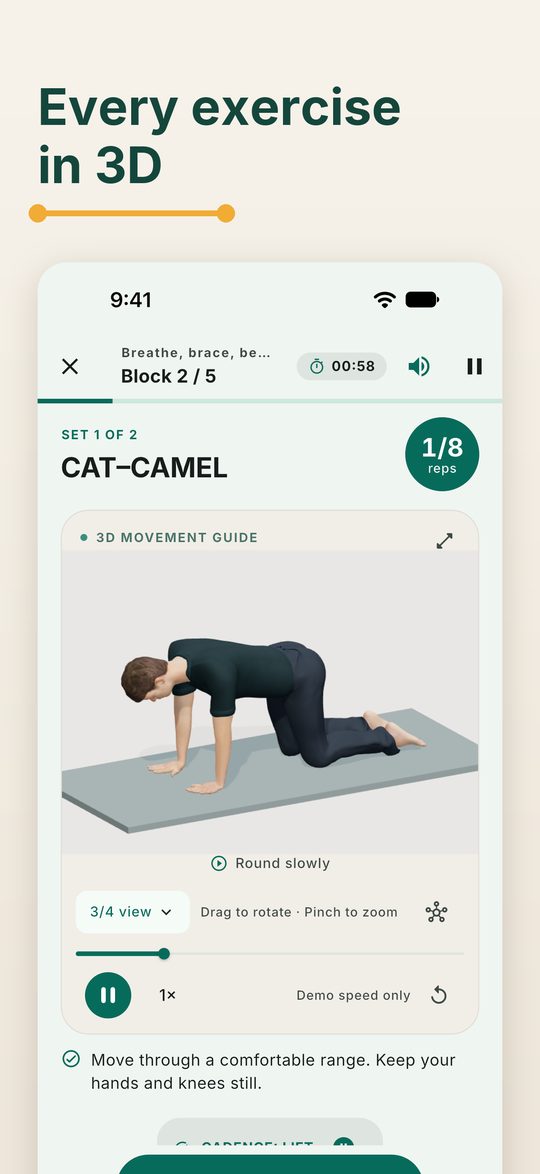 A session with the 3D model of cat-camel